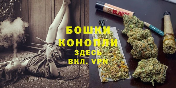 эйфоретик Баксан