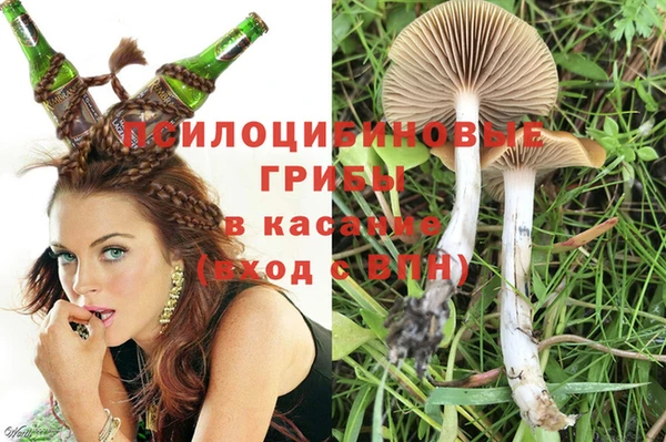 стаф Балахна