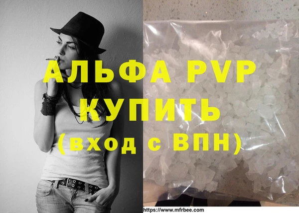 эйфоретик Баксан